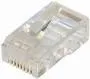 T.E.G. Cat6 RJ45 stekker UTP 8P8C