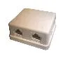 T.E.G. Cat5e U-UTP contactdoos 2x RJ45 opbouw